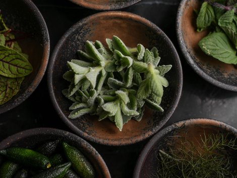 Useful info for your hotel in South Tyrol Useful info for your hotel in South Tyrol