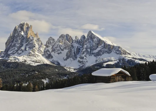 Hotel auf der Seiser Alm 4-Sterne-S