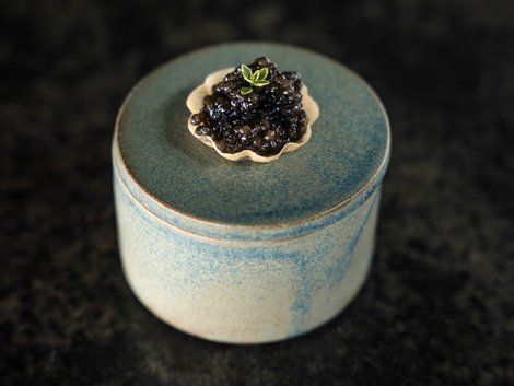 Useful info for your hotel in South Tyrol Small tart with dark topping and green garnish on a blue ceramic bowl