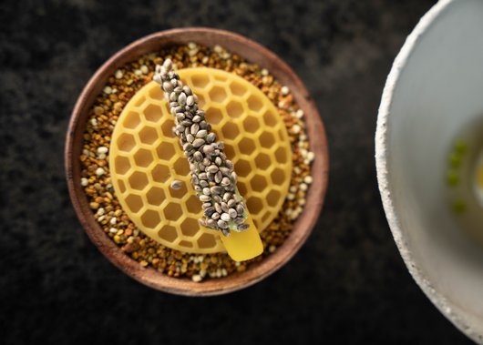 Gourmet restaurant in South Tyrol: Lampl Stube Gourmet restaurant in South Tyrol: Lampl Stube
