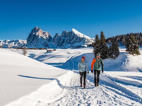 Weekly programme of our hotels near Alpe di Siusi Two hikers walking on snowy trail with mountain backdrop under clear blue sky